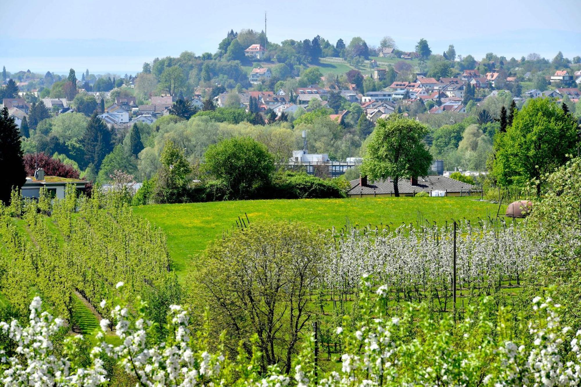 Hotel Montfort-Schloessle Lindau  Rum bild